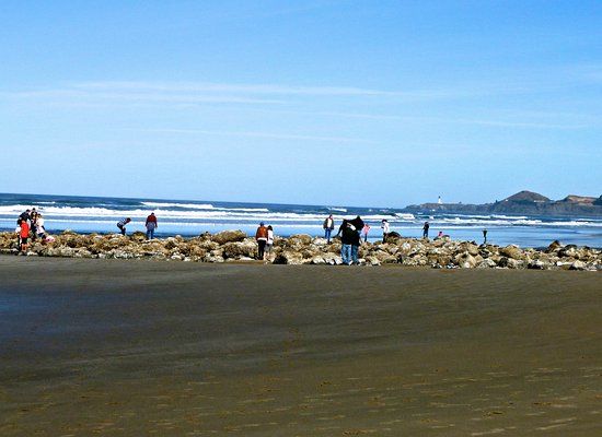 Newport Visual Arts Center